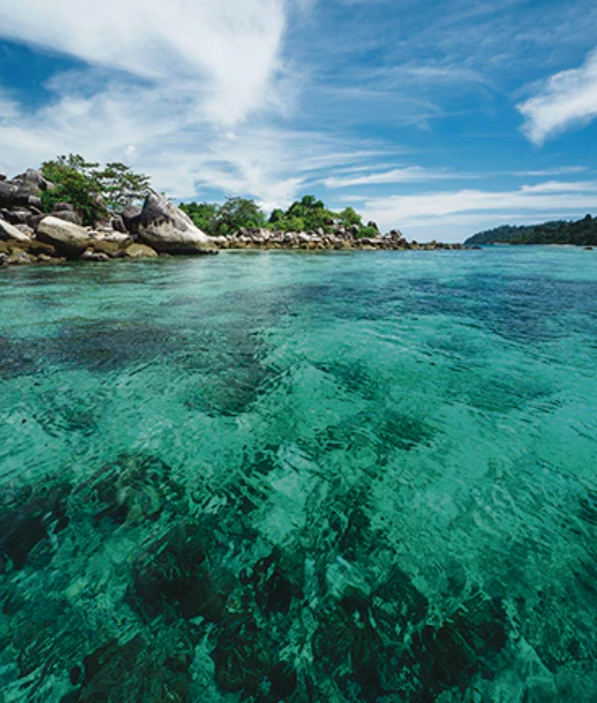 Rituales que incluye: