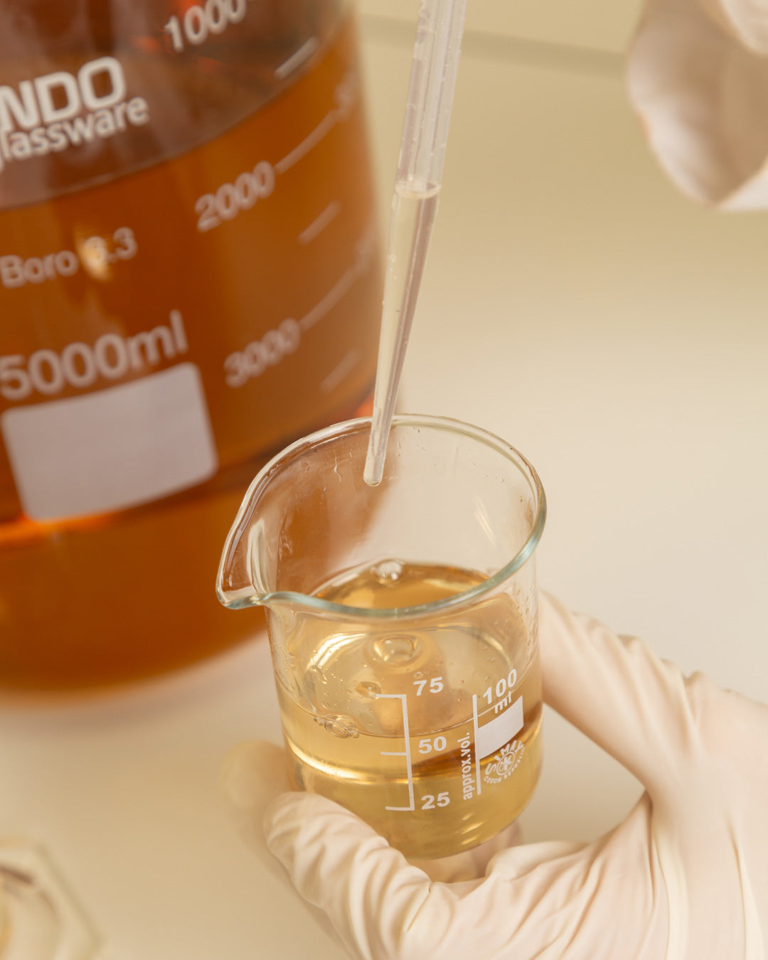Laboratorio-4_5.jpg
