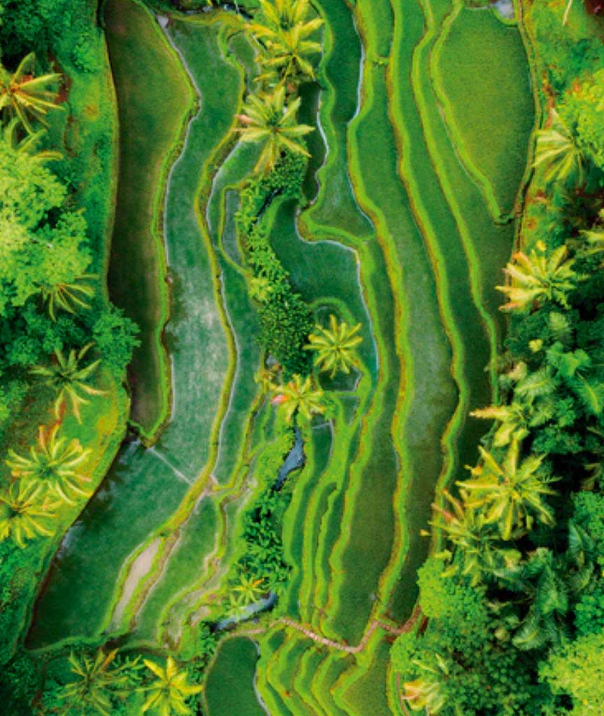 Rituales que incluye: